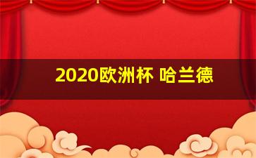 2020欧洲杯 哈兰德